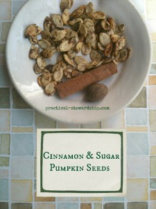 Cinnamon & Sugar Pumpkin Seeds @ practical-stewardship.com