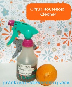 Citrus Household Cleaner @ practical-stewardship.com