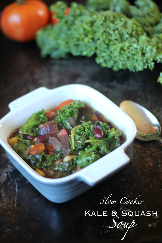 Kale &  Squash Soup