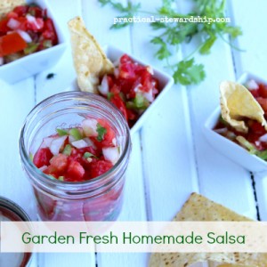 Garden Fresh Homemade Salsa