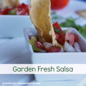 Homemade Raw Garden Salsa