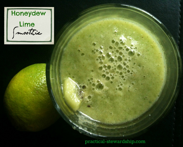 Honeydew Lime Smoothie