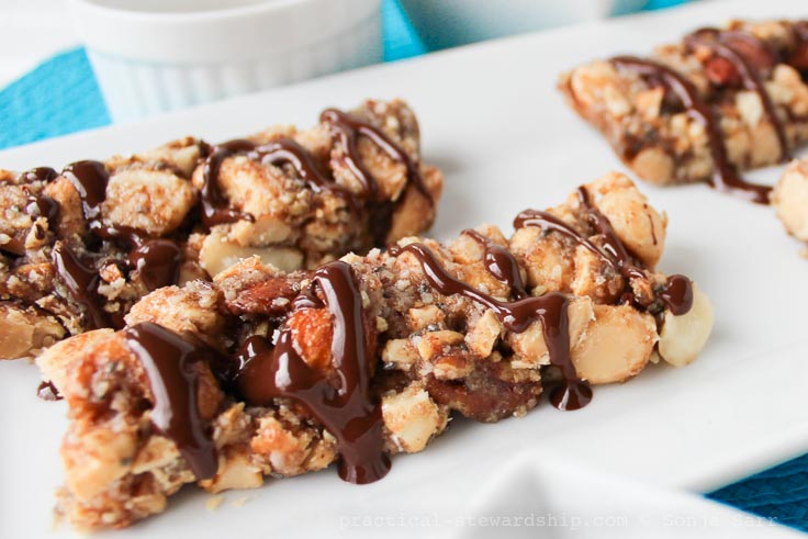 Copycat KIND Bar