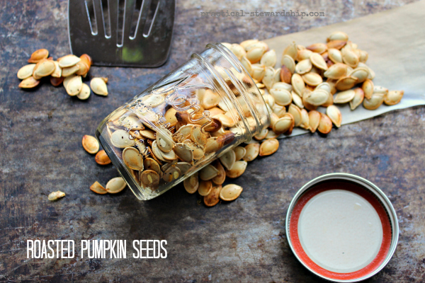 Roasted Pumpkin Seeds