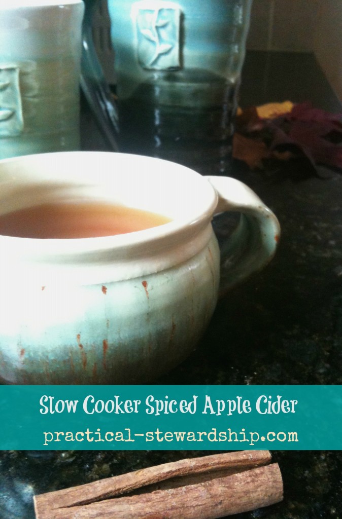 Spiced Apple Cider @ practical-stewardship.com