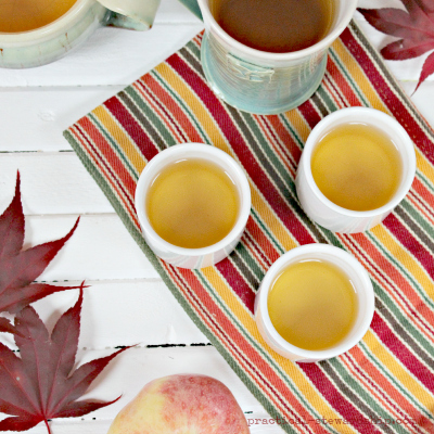 Slow Cooker Spiced Apple Cider