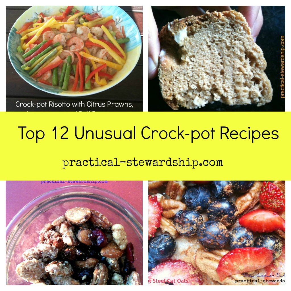 Top 12 Unusual Crock-pot Recipes @ practical-stewardship.com