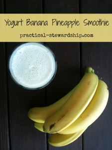 Yogurt Banana Pineapple Chia Seed Smoothie Recipe - Practical Stewardship