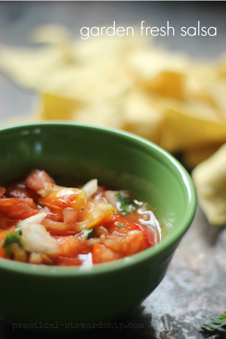 garden fresh salsa