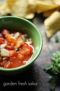 garden fresh salsa with cilantro