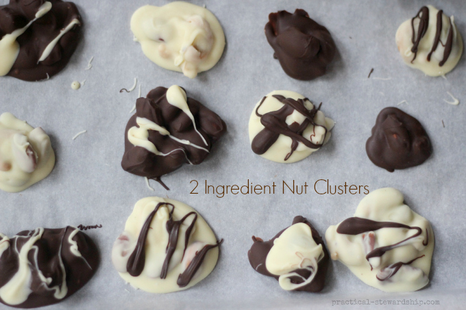 2 Ingredient Nut Clusters | practical-stewardship.com