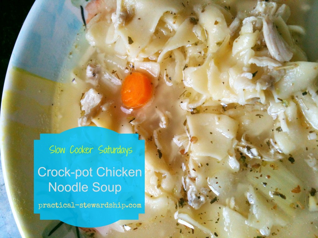 Crock-pot Chicken Noodle Soup @ practical-stewardship.com