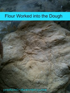 Flour Worked into Dough @ practical-stewardship.com