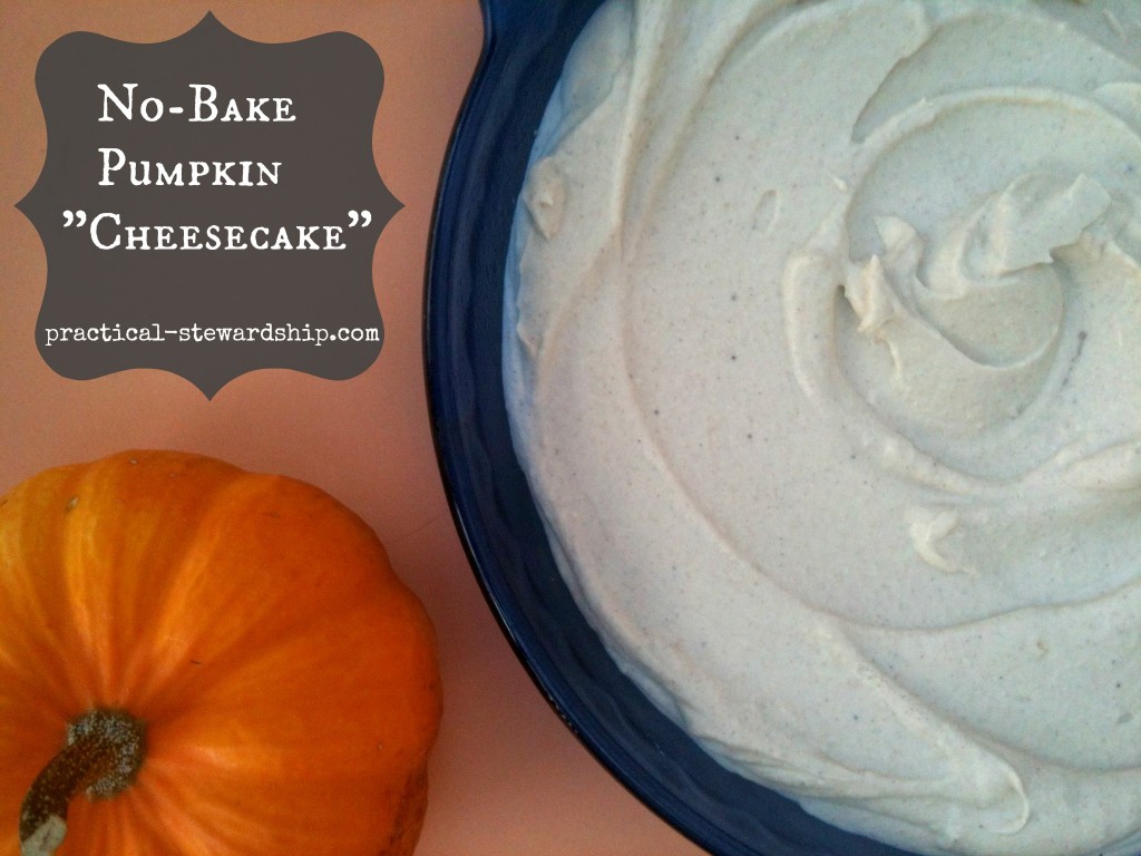 Pumpkin Cheesecake, Gluten-free, Dairy-Free @ practical-stewardship.com