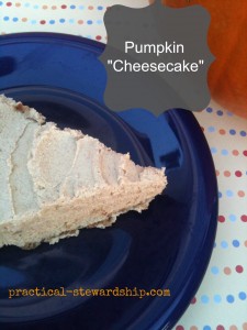 Pumpkin Cheesecake, Gluten-free, Dairy-Free @ practical-stewardship.com