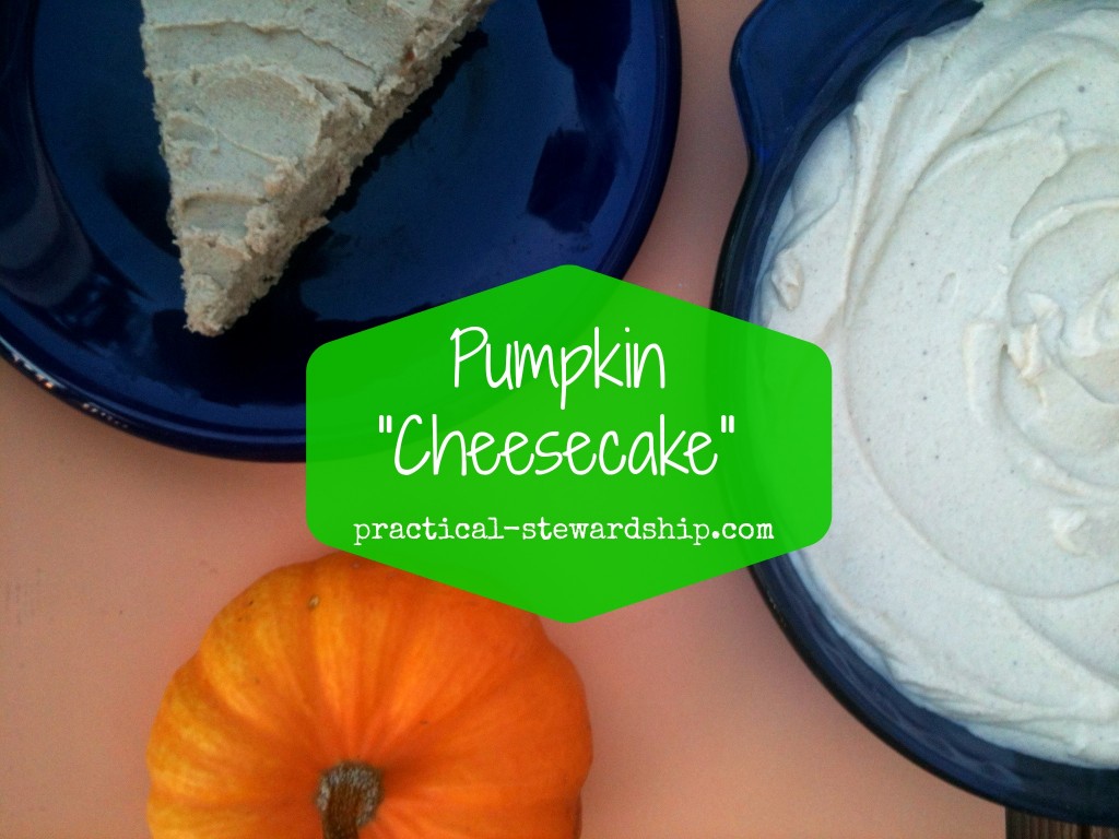 Pumpkin Cheesecake, Gluten-free, Dairy-Free @ practical-stewardship.com