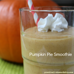 Pumpkin Pie Smoothie, Vegan