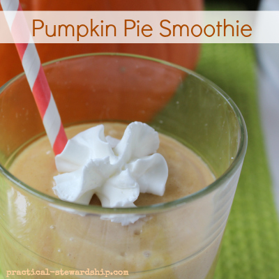 Pumpkin Pie Smoothies, Vegan