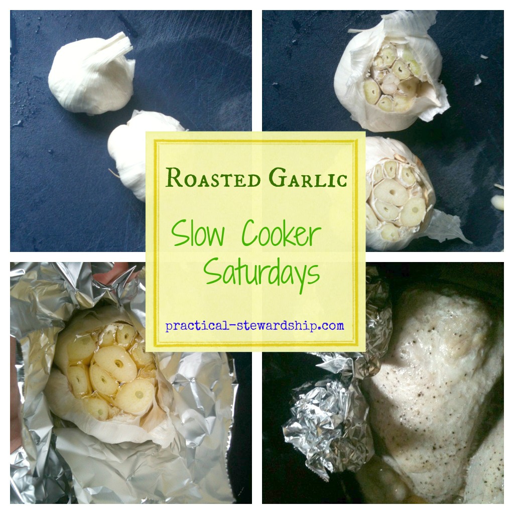 Roasted Garlic in the Crock-pot Collage @ practical-stewardship.com