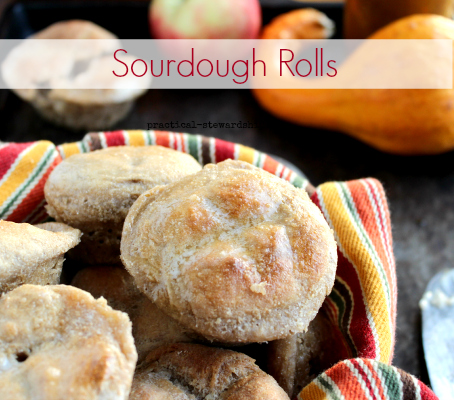 Sourdough Rolls, Vegan