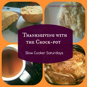 Slow Cooker Spiced Apple Cider - Practical Stewardship