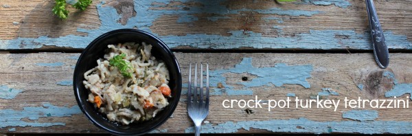 crock-pot turkey tetrazzini, D-F