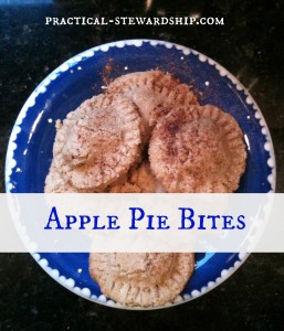 Apple Pie Bites @ practical-stewardship.com