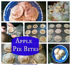 Apple Pie Collage @ practical-stewardship.com