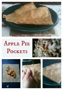 Apple Pie Pockets @ practical-stewardship.com