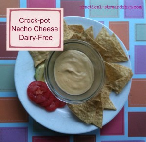 Crock-Pot Nacho Cheese, Dairy-free