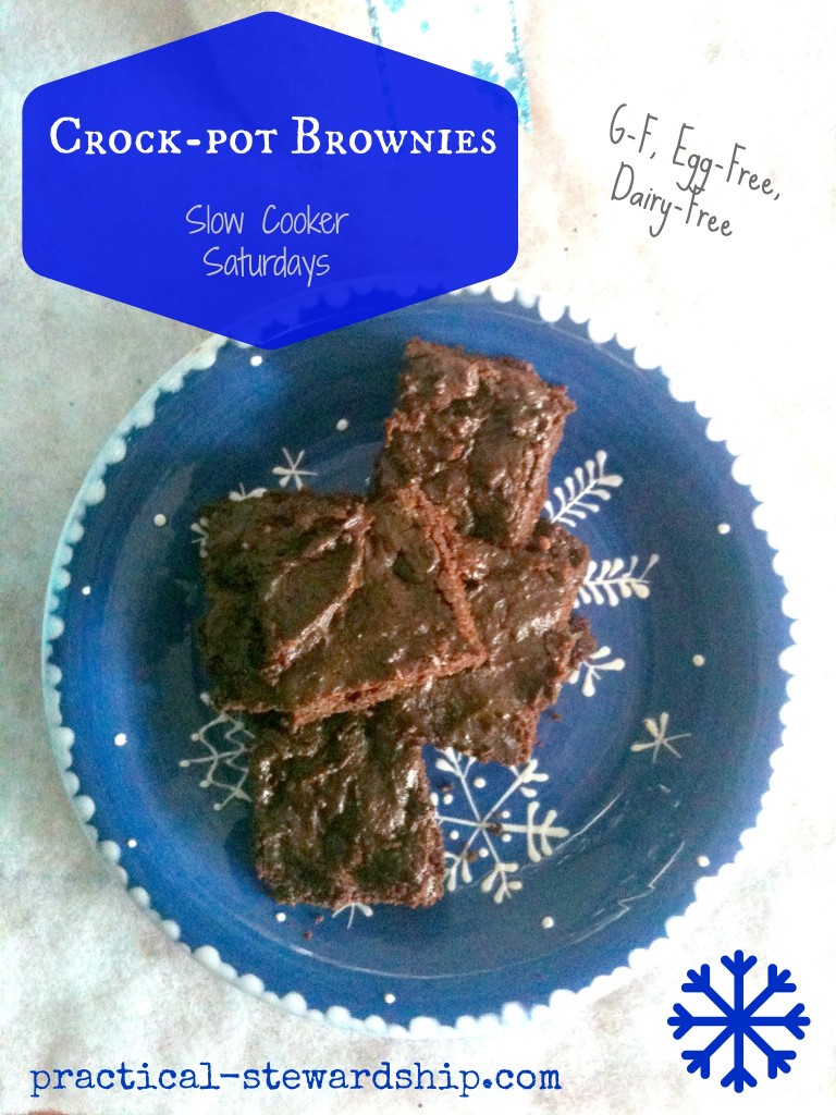 G-F, Egg-Free, Dairy-Free Crock-pot Brownies @ practical-stewardship.com