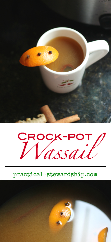 Crock-pot Wassail