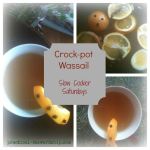 Crock-pot Wassail Slow Cooker Saturday @ practical-stewardship.com