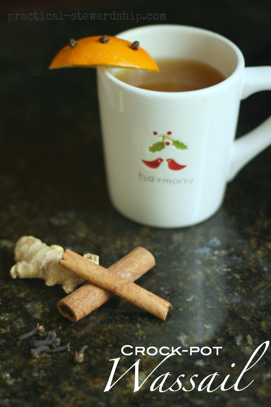 Crock-pot Wassail