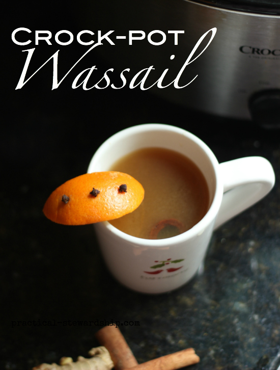 Crock-pot Wassail