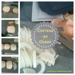 Cutting an Onion Collage @ practical-stewardship.com