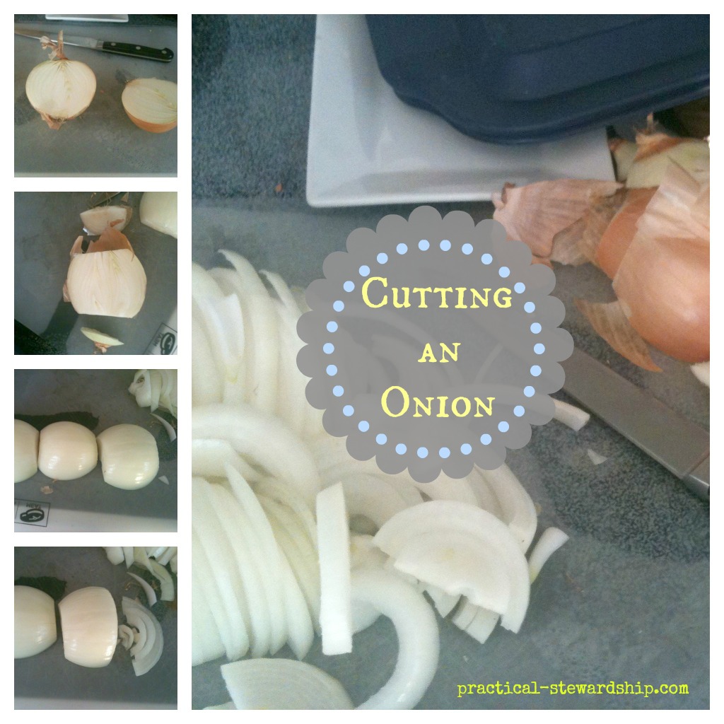 Cutting an Onion Collage @ practical-stewardship.com