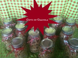 Gifts of Granola @ practical-stewardship.com