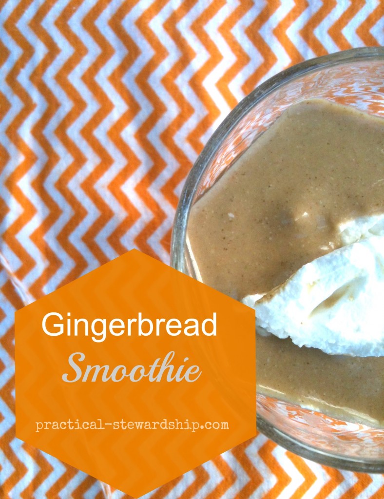 Gingerbread Smoothie @ practical-stewardship.com