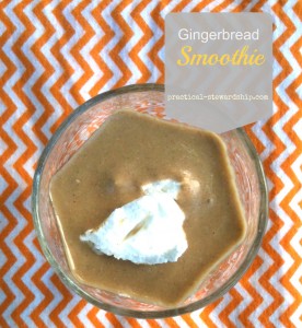 Gingerbread Smoothies @ practical-stewardship.com