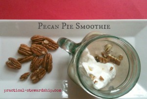 Pecan Pie Smoothie @ practical-stewardship.com