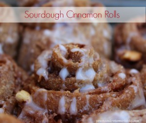 Vegan Sourdough Cinnamon Rolls