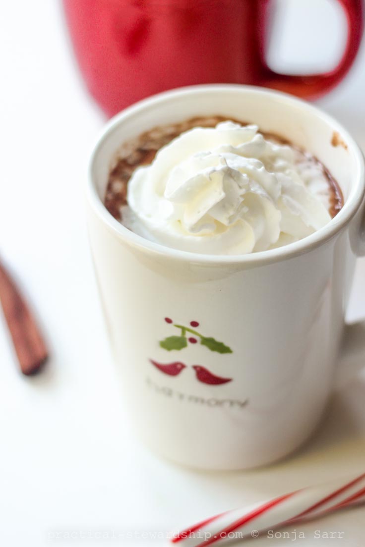 Creamy Crock Pot Hot Chocolate