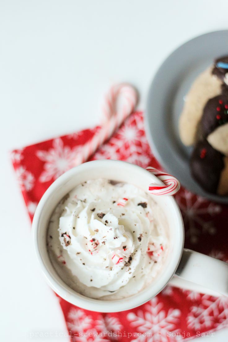 Creamy Crock Pot Hot Chocolate