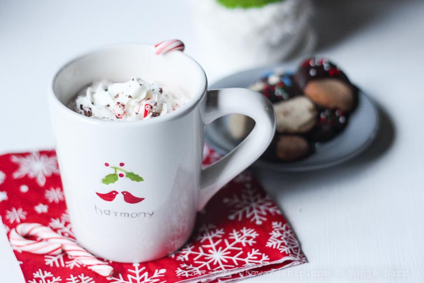 Dairy-free Crock-pot Hot Chocolate