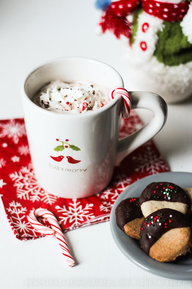 Dairy-free Crock-pot Hot Chocolate