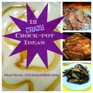 12 Crazy Crock-pot Ideas @ practical-stewardship.com