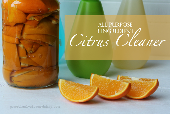 All Purpose 3 Ingredient Citrus Cleaner