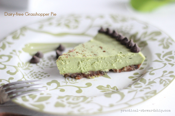 Dairy-free Grasshopper Pie