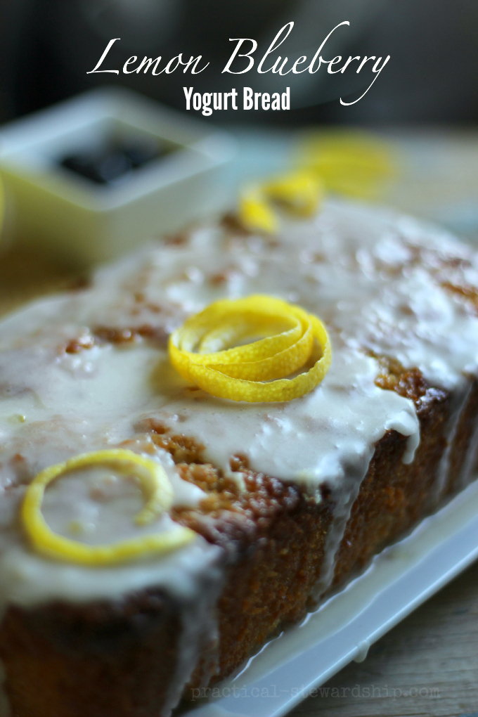 Lemon Blueberry Yogurt Bread